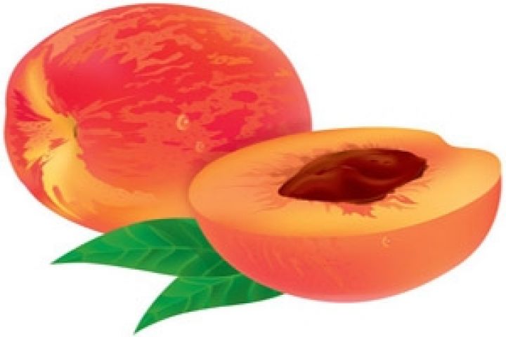 Франция. Производители персиков говорят о хорошем сезоне
