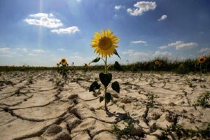 Засуха в Балканских странах помогла обнаружить кризис в аграрной отрасли