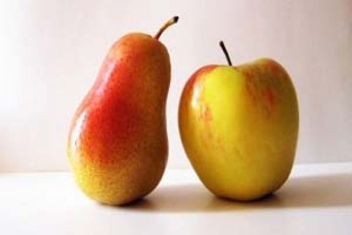 Мировое производство и потребление яблок и груш увеличится на 5% — USDA