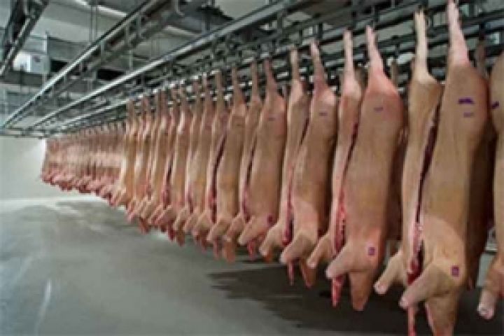 Колесников заработал 4 миллиона на государственных свиноводах