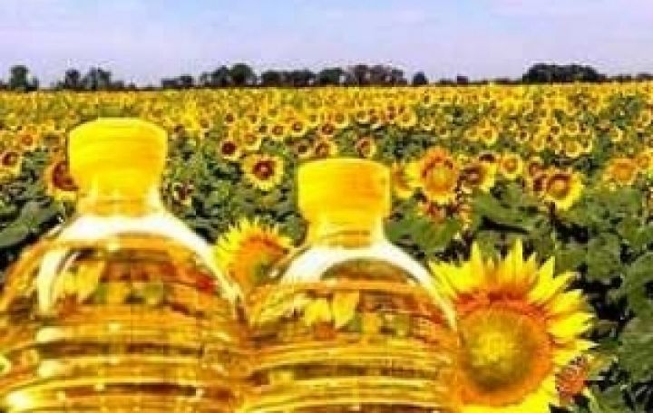 Украина наращивает производство подсолнечного масла