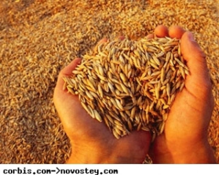 Китай — перспективный рынок для экспорта казахстанского зерна