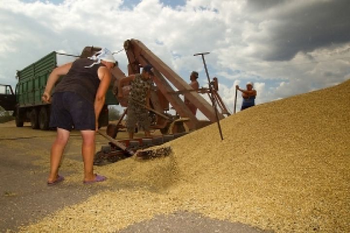 Должностные лица предприятия незаконно реализовали 6,6 тыс. тонн зерна пшеницы