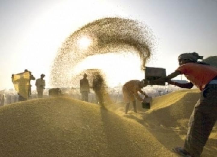 Говорить о запрете экспорта зерна сейчас не стоит  — российский министр