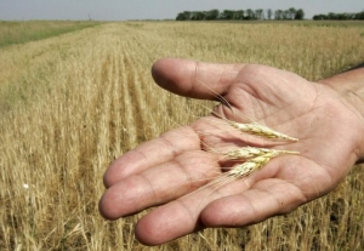 Китай выдвинул новые требования для проверки качества украинских сельхозкультур