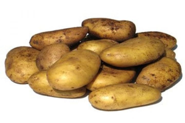 В Молдове ожидается снижение валового сбора картофеля