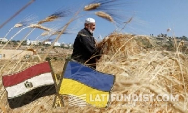 GASC закупил 55 тыс. тонн украинской пшеницы у компании Louis Dreyfus