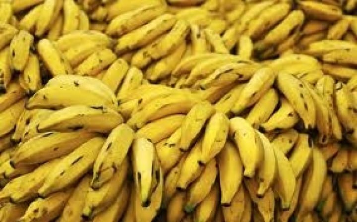 Бананы могут стать дефицитом