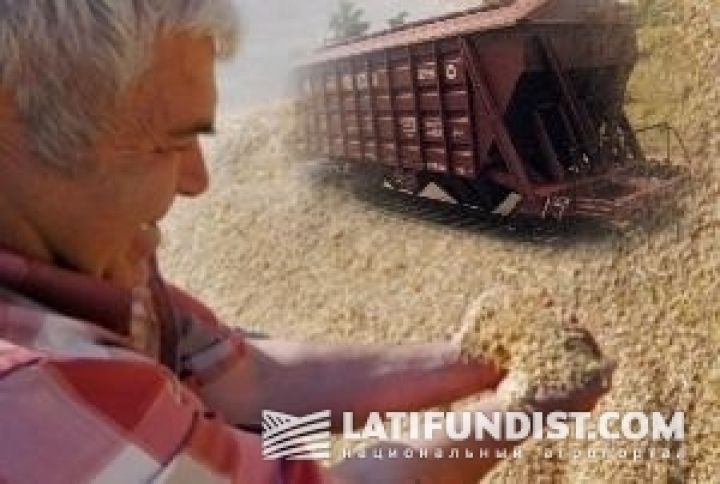 В Украине зерно на экспорт загнали в четкие рамки