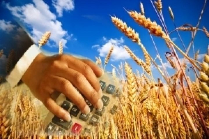 Ведомство Присяжнюка хочет получить 100 млн. гривен из бюджета на развитие сельхозкооперативов