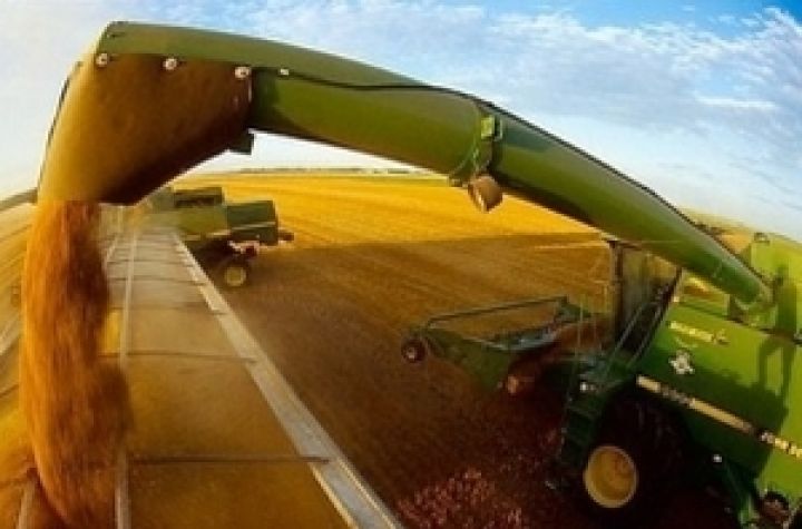 Украина экспортирует около 20 млн. тонн зерна 