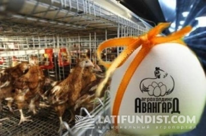 Крупнейшую птицефабрику Бахматюка оштрафовали на 2 млн. гривен