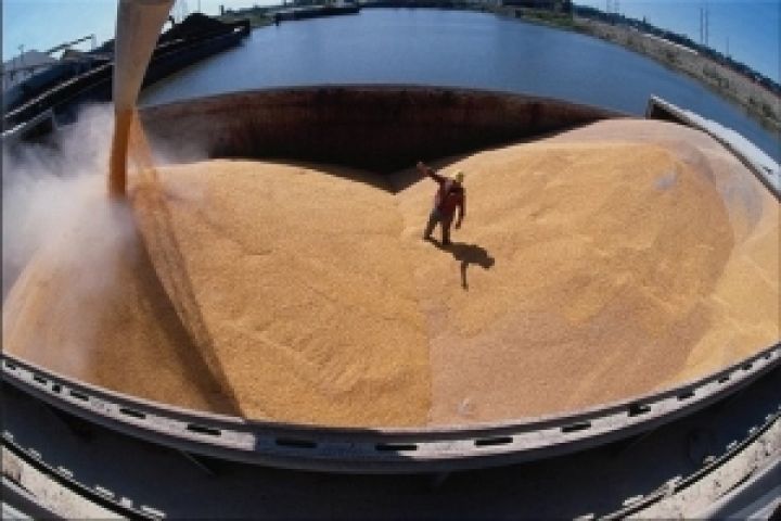 Украина экспортировала почти 3,8 млн. тонн зерна