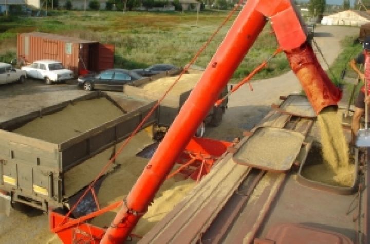 Приднепровская железная дорога почти на 30% увеличила перевозку зерновых культур