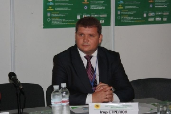 Игорь Стрелюк, эксперт плодоовощного рынка УКАБ