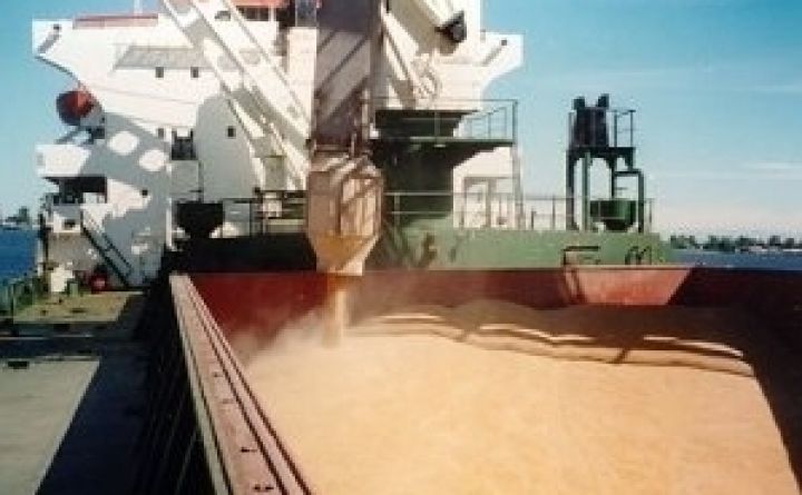 Темпы экспорта пшеницы из Украины слишком высокие