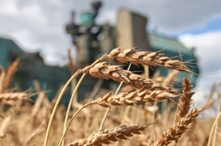 Темпы роста урожайности кукурузы и сои в Украине в два раз выше, чем в США, Бразилии и Аргентине
