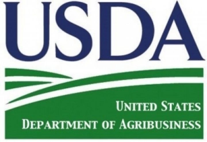 USDA понизил прогнозы экспорта зерна и производства подсолнечного масла в Украине
