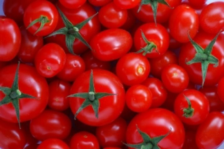 Испания соберет значительно больше томатов, чем ожидалось