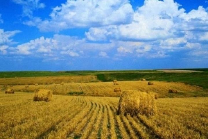 Земельный банк должен ежегодно кредитовать аграриев на сумму 170 млрд. грн