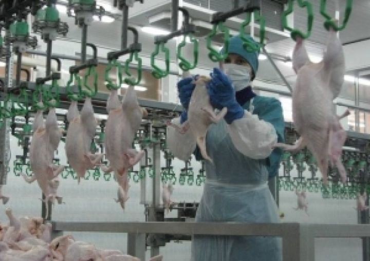 Украина готова начать экспорт мяса птицы в Европу 