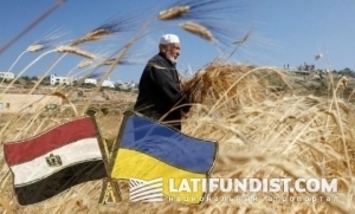 Египет закупил уже 280 тыс. тонн украинского зерна