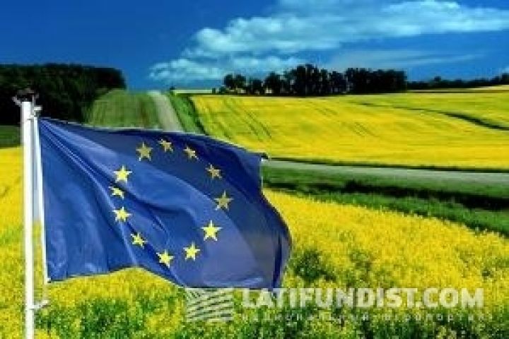 Евросоюз откажется от украинского рапса?