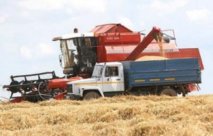 Валовый сбор зерновых в Харьковской области превысит 3 миллиона тонн