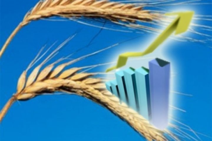 Россия. Цены на зерно демонстрируют медленный рост после паузы