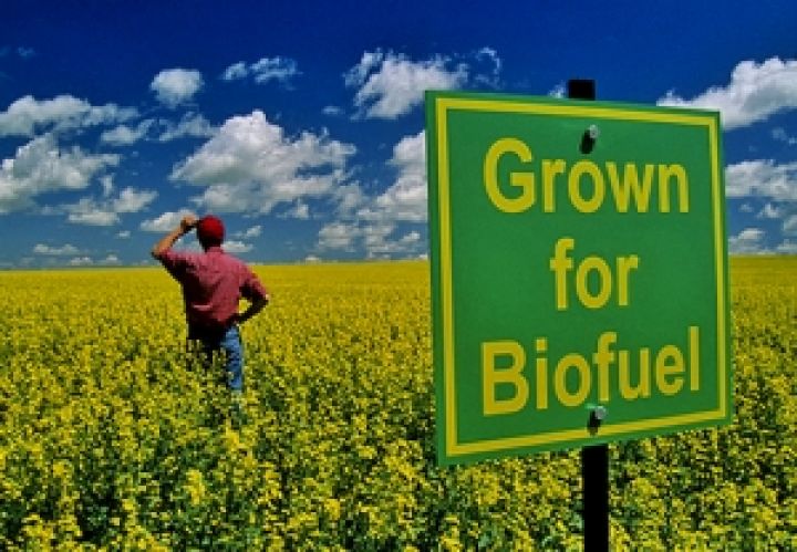 Украина заинтересована в производстве биотоплива по немецким технологиям