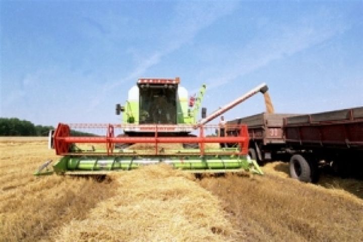  Аграрная продукция в Украине подорожала на 4% 