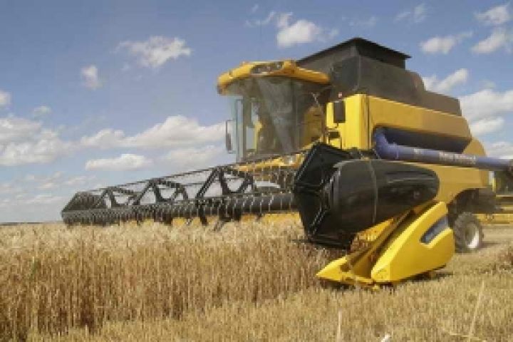 Украинские аграрии намолотили более 27,5 млн. тонн зерновых 