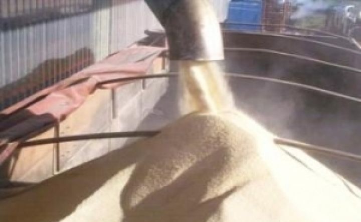 Укрсахар оценивает экспорт сахара в 164 тыс. тонн
