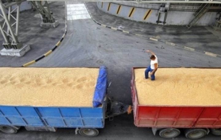 Украина экспортировала уже 4,4 млн. тонн зерна