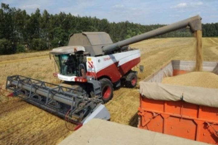 УЗА ожидает активизации экспорта пшеницы из Украины в сентябре