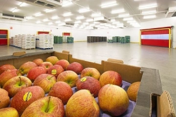 В Крыму строят современное фруктохранилище емкостью 4,9 тыс. тонн