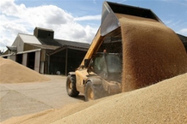 Запасы зерновых в Казахстане выглядят гораздо оптимистичнее, чем в России и Украине