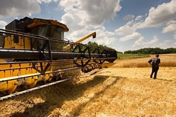 Харьковским аграриям заплатили за зерно 66 миллионов 