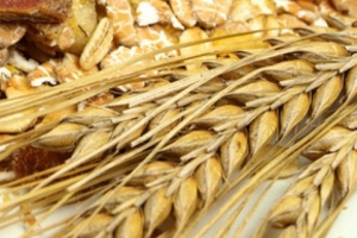 Биржевые цены на пшеницу растут 