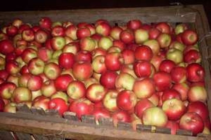 В Молдове подорожали яблоки