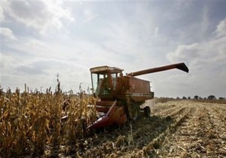 Глава Минагропрода прогнозирует замедление экспорта пшеницы из Украины