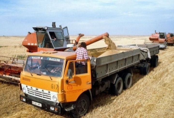 Украинские сельхозпроизводители все больше предпочитают хранить урожаи в своих хозяйствах 