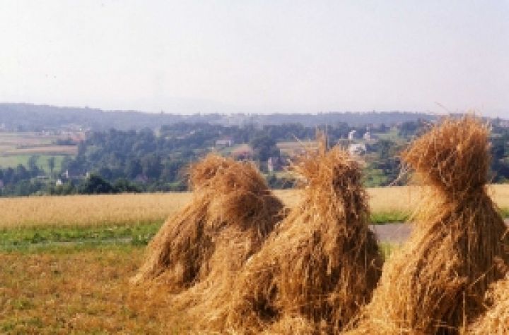 Юные сумские фермеры учились агробизнесу в Польше