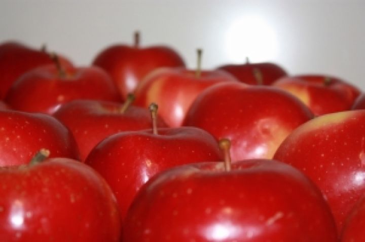 Экспорт украинских яблок вырастет на 30% — эксперт