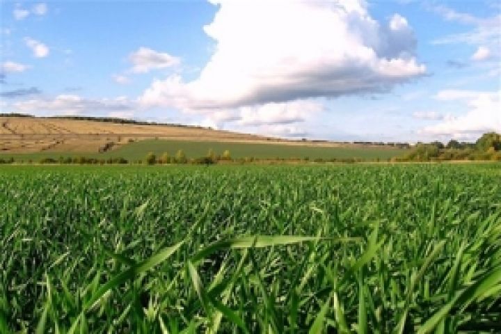 Власти Херсонской области отмечают неблагоприятные погодные условия для сева озимых