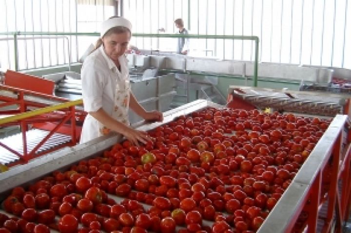 Крым может стать центром тепличного производства овощей