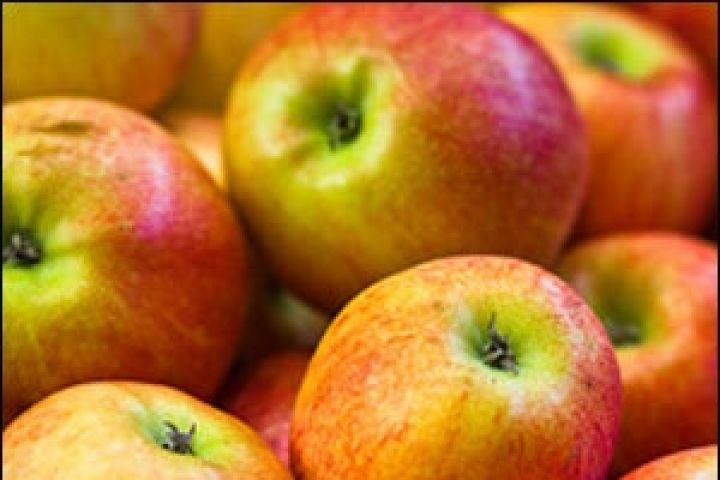 Беларусь увеличивает планы по заготовкам яблока