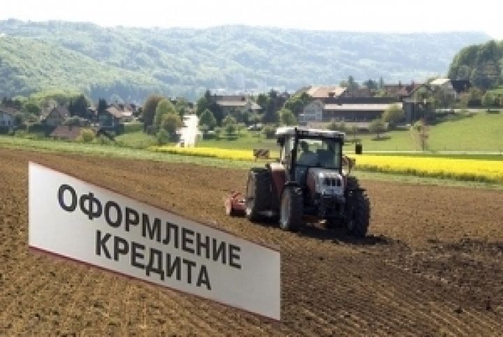 Украина наращивает объемы агрокредитования