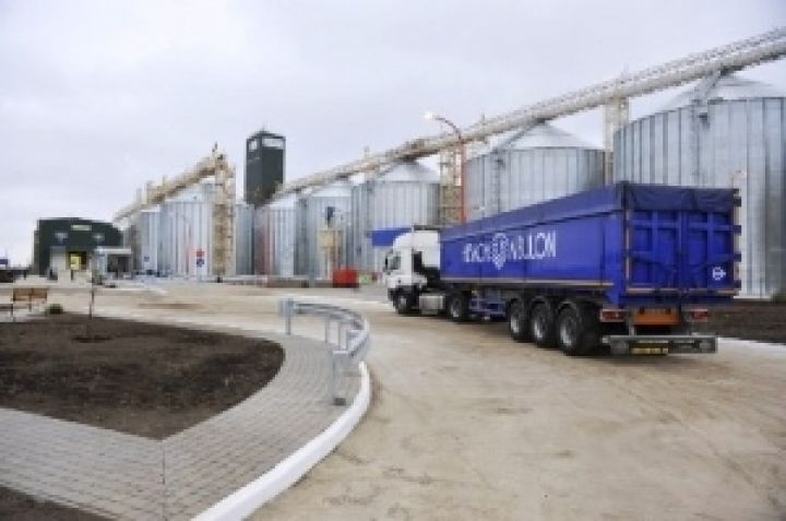 Нибулон планирует перевезти по Днепру 3,5 млн. тонн зерновых и масличных культур