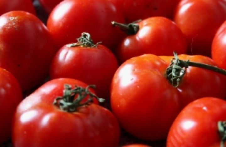 В Польше дорожают томаты 